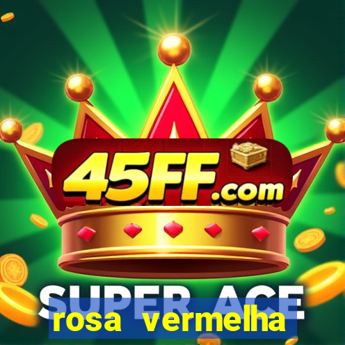 rosa vermelha (letra e cifra)